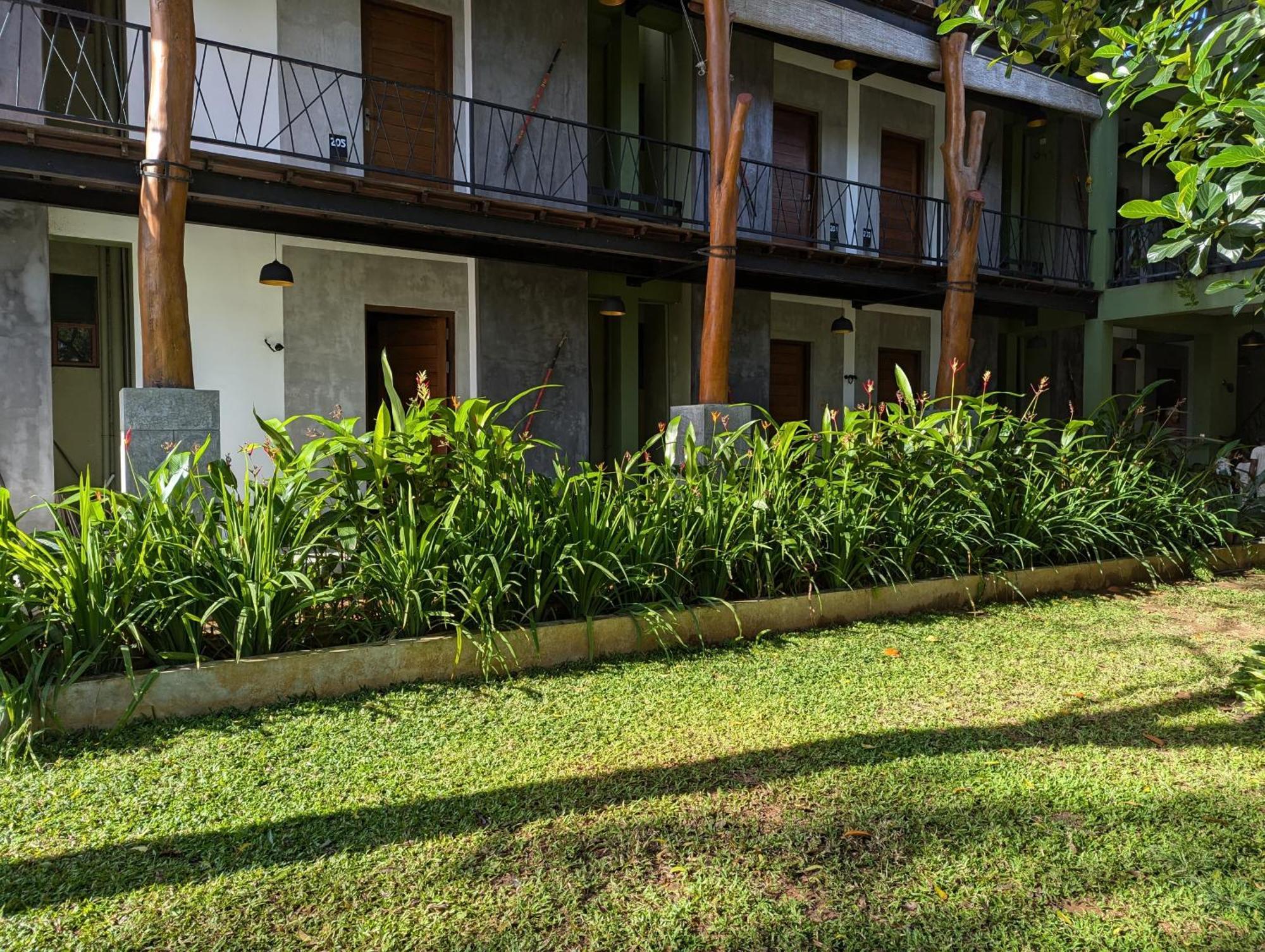 Royal Tusker Hotel Udawalawe Exterior photo